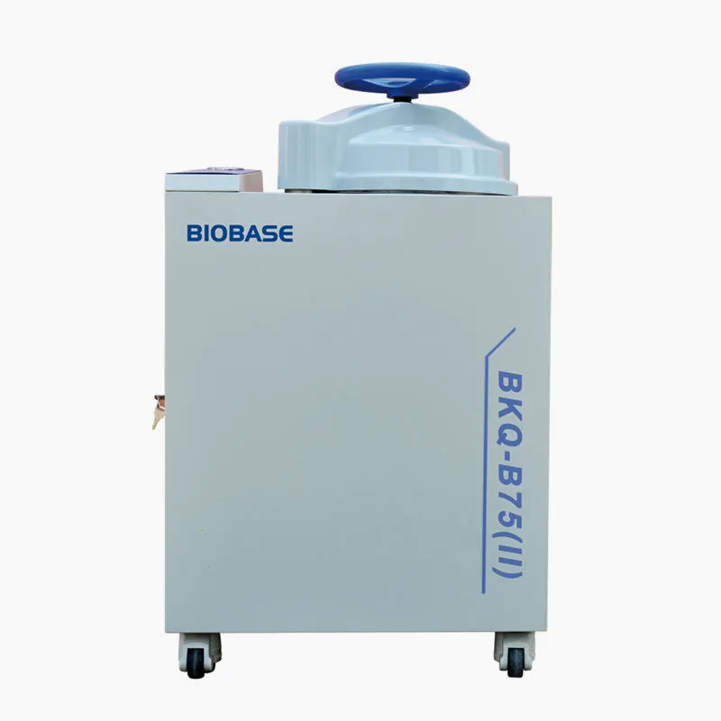 Autoclave vertical
