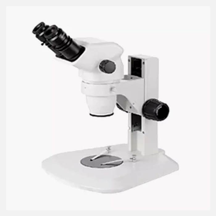 Microscopio estereoscópico
