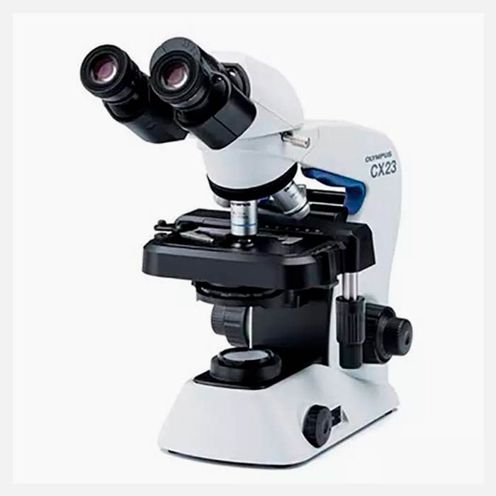 Microscopio biológico estándar